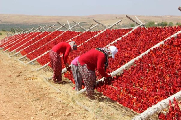 Sıcak hava en çok onların yüzünü güldürüyor