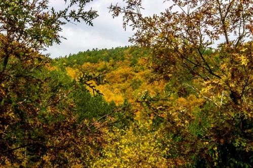 Sonbaharda bir başka güzel
