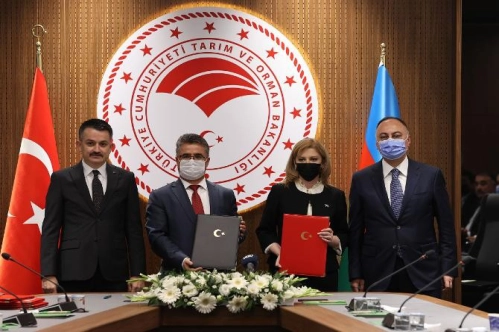 Türkiye ile Azerbaycan arasında gıda güvenliği konusunda 4 anlaşma imzalandı