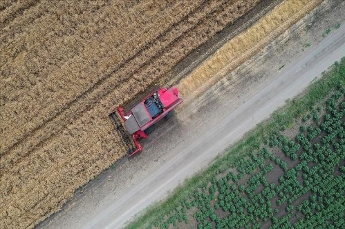 Çiftçi Kayıt Sistemi'ndeki kadın çiftçi sayısı 290 bine yaklaştı