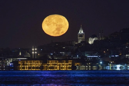 Ekimde kültür hasadı başlıyor