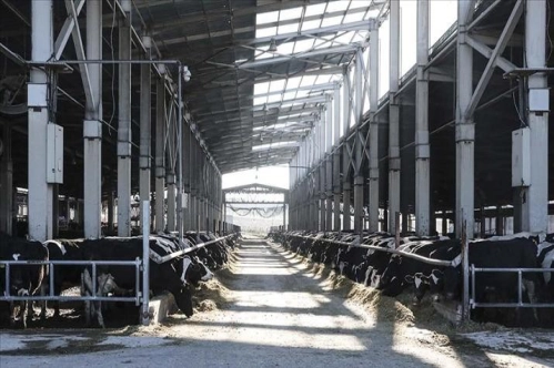 Hayvancılık sektöründe metan gazı salınımını azaltmaya yönelik iş birliği başlatıldı