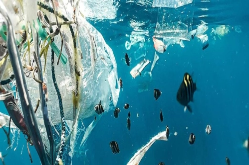 Plastik atıklar ve küresel ısınma nedeniyle okyanuslar alarm veriyor