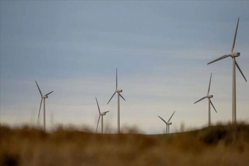 Türkiye'nin rüzgar enerjisi sektörü Almanya'ya çıkartma yapacak