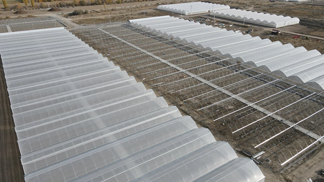 Doğu Anadolu'nun en büyük toplu sera alanı Erzincan'da kurulacak