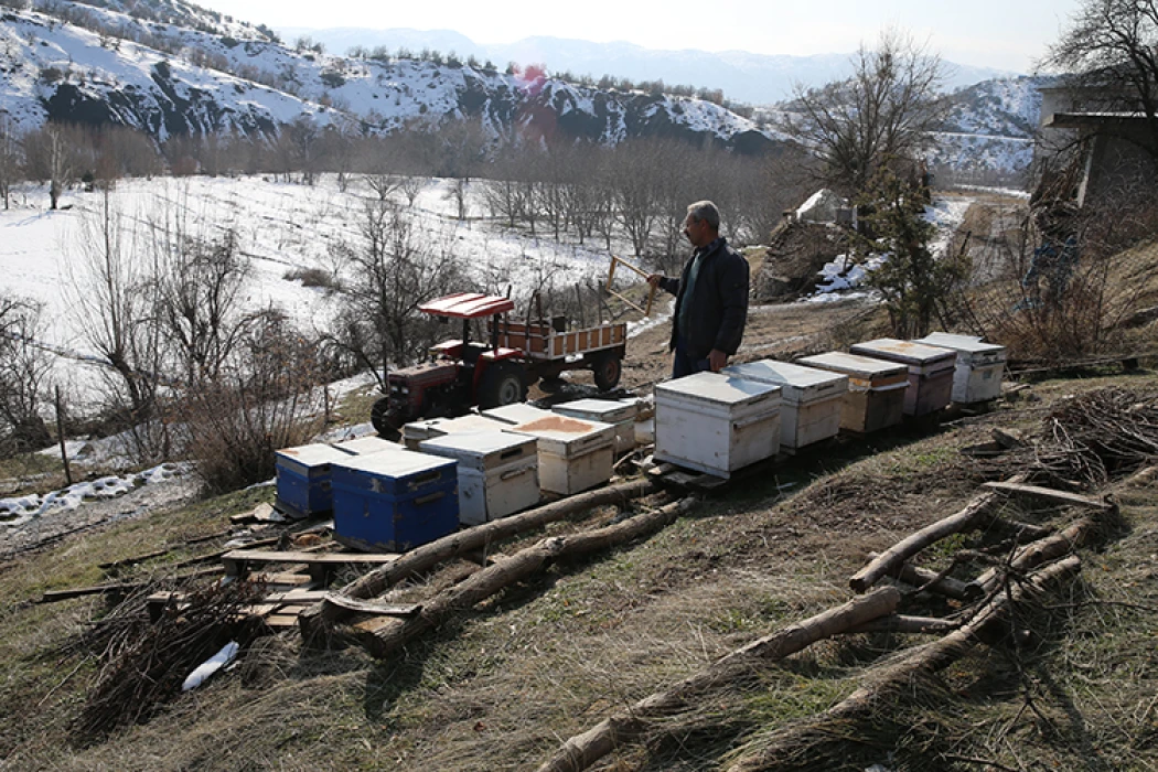 Diyarbakır'da depremzede devlet desteği aldı! Hayvan sayısı 3 kat arttı