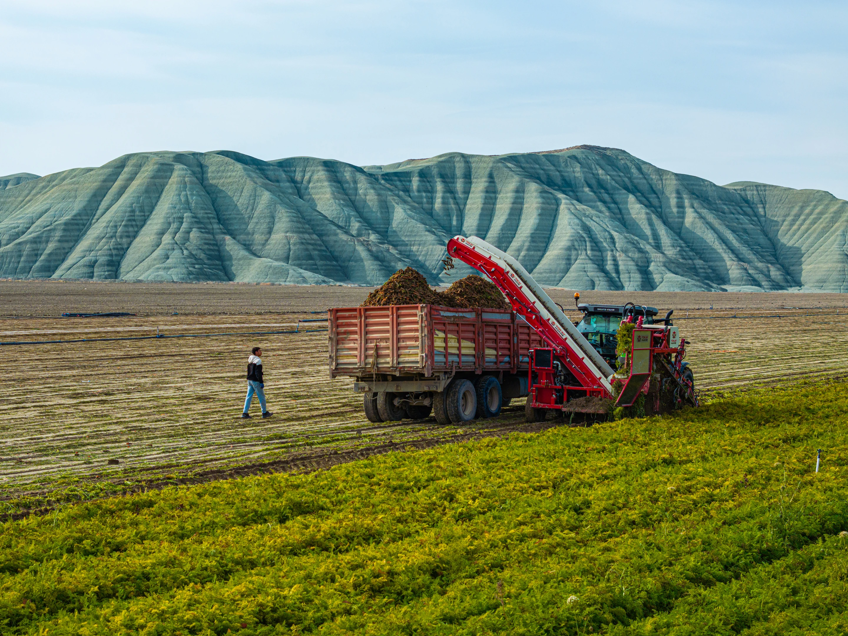Gıda enflasyonuna karşı ilk adım KGF