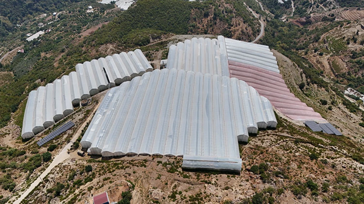 Antalya'da tropikal meyve bahçelerine kurulan GES enerji maliyetlerini düşürdü