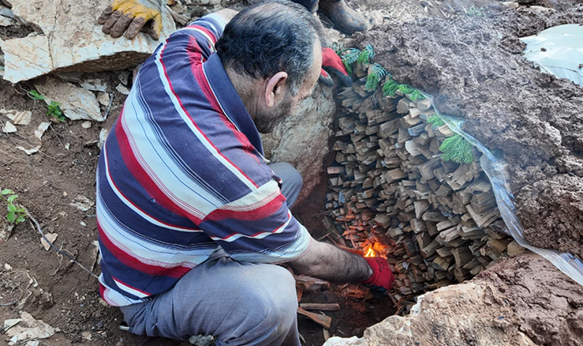 Antalya'da geleneksel yöntemlerle sedir katran yağı üretiliyor