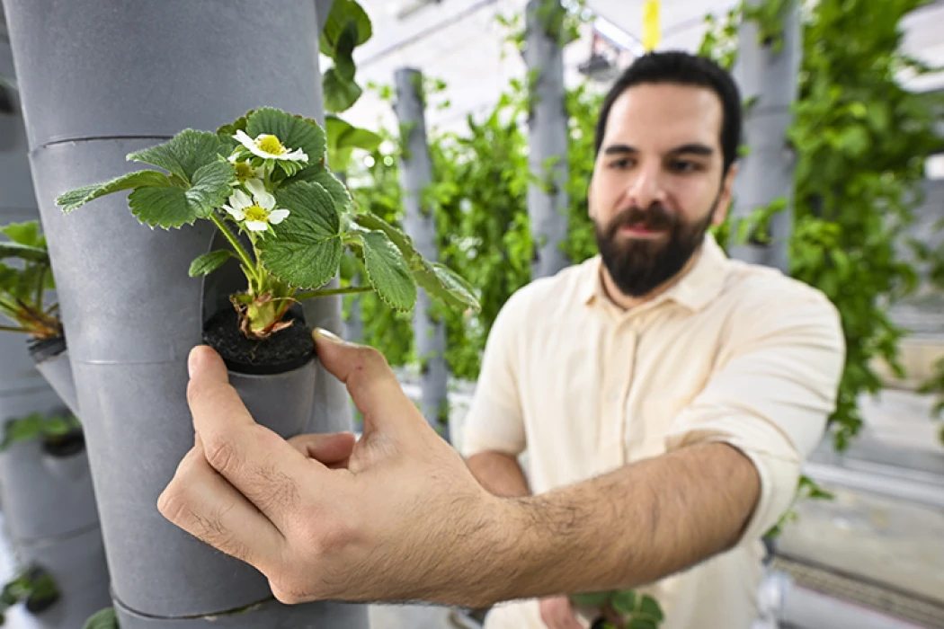 Topraksız dikey tarım uygulamaları enerjide tasarruf ve yüksek verimlilikle geleceğe umut oluyor