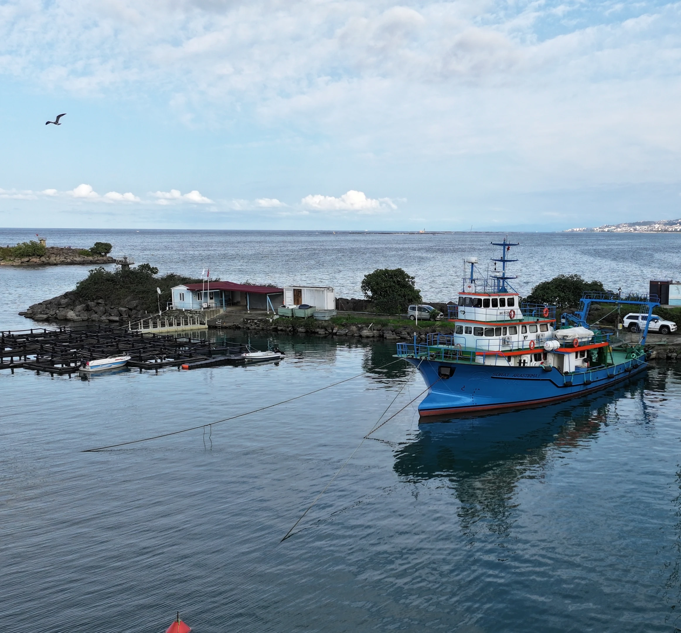 Karadeniz’de balık stokları için yeni araştırma seferleri başladı
