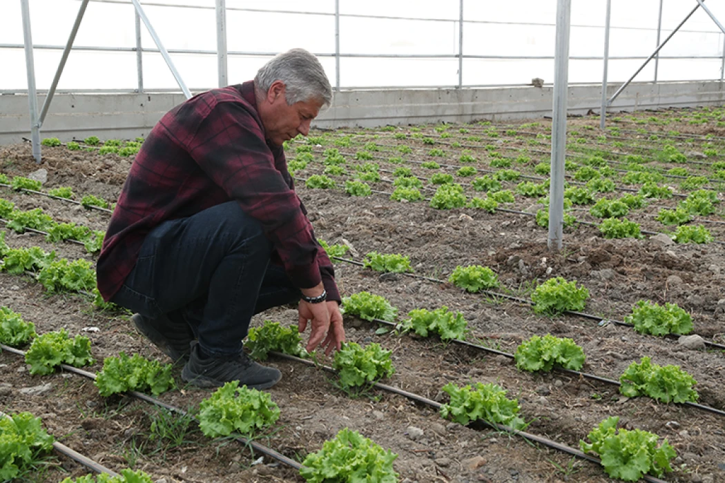 Doğu Anadolu'nun en büyük toplu sera alanı Erzincan'da kurulacak