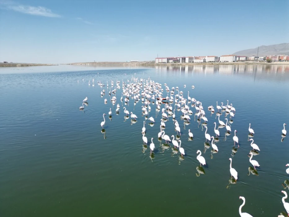 Niğde'deki barajların da doluluk oranı kuraklık nedeniyle düştü