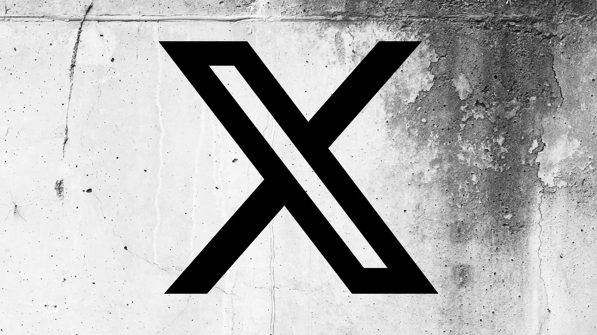 X, profilde kullanıcı hakkında daha fazla bilgi gösterecek