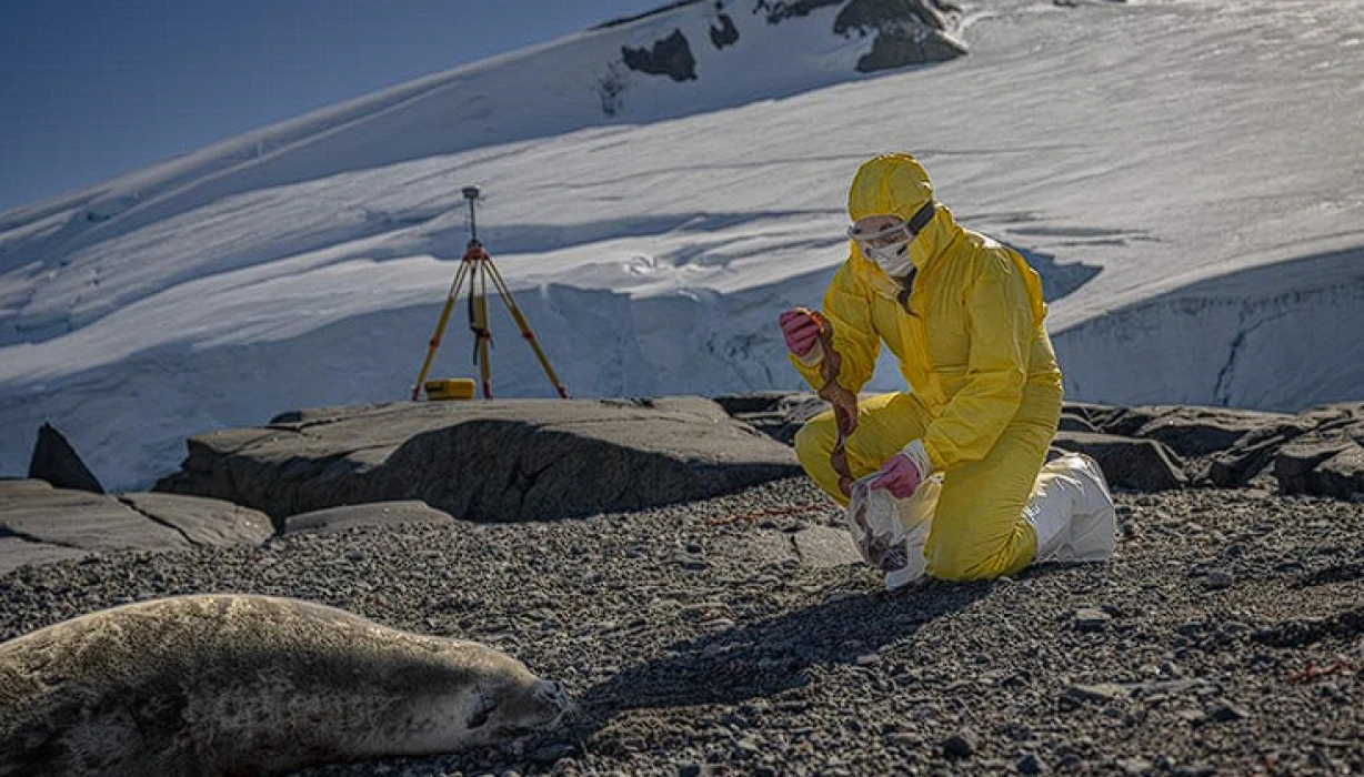 Türk bilim insanları Antarktika'daki araştırmalarıyla sağlık ve tarıma ışık tutuyor