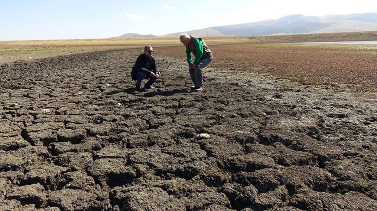 Kars'ta göçmen kuşların konakladığı Asboğa Gölü'nde su 60 metre çekildi