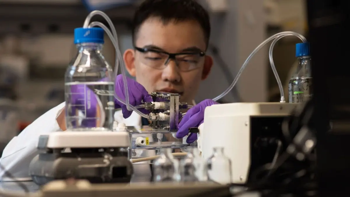 Atık sudan yeşil hidrojen: Temiz enerji maliyeti düşüyor