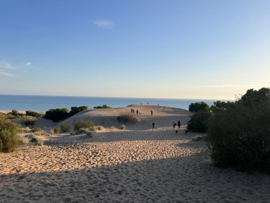 Akdeniz'in incisi Patara eylem planı ile korunacak
