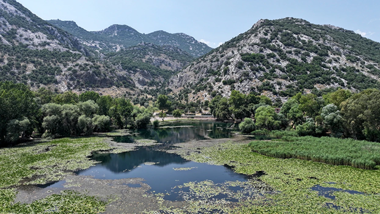 Antalya'nın su kaynağı Kırkgöz, nilüferlerle kaplandı