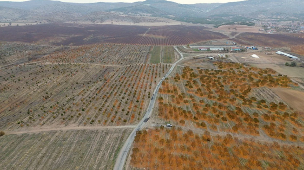 Zirai donun zararı TARSİM tarafından karşılandı: Sigortanın önemi bir kez daha ortaya çıktı
