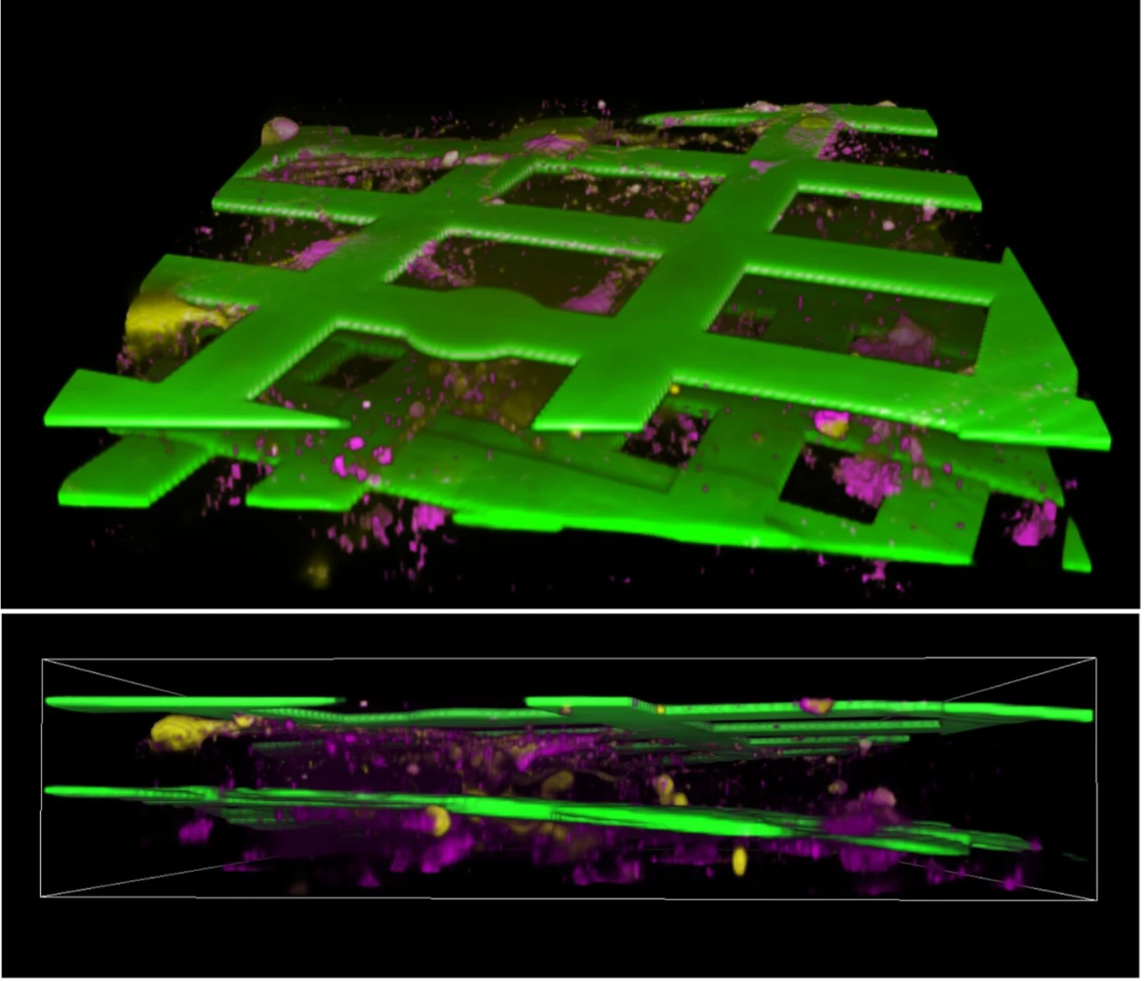 Yapay zeka enerji maliyetlerini düşürecek biyobilgisayar devrimi: 3D-MIND