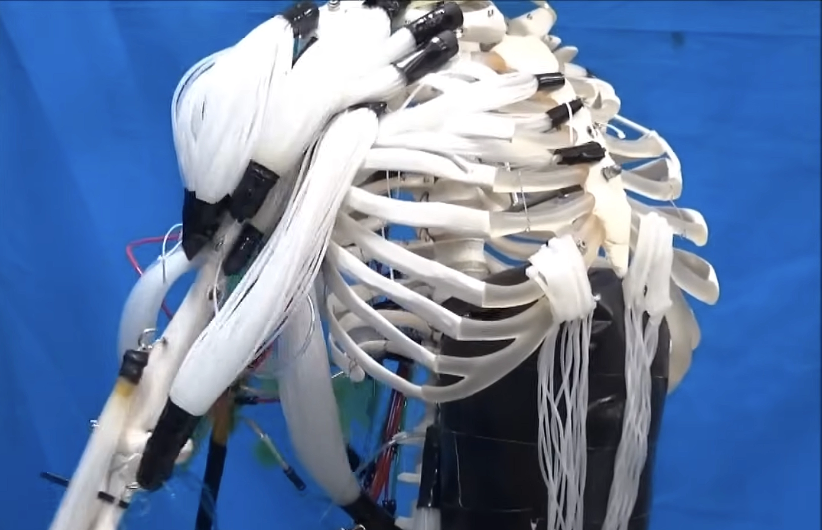 Robotlar artık kendi kendini onarabilecek