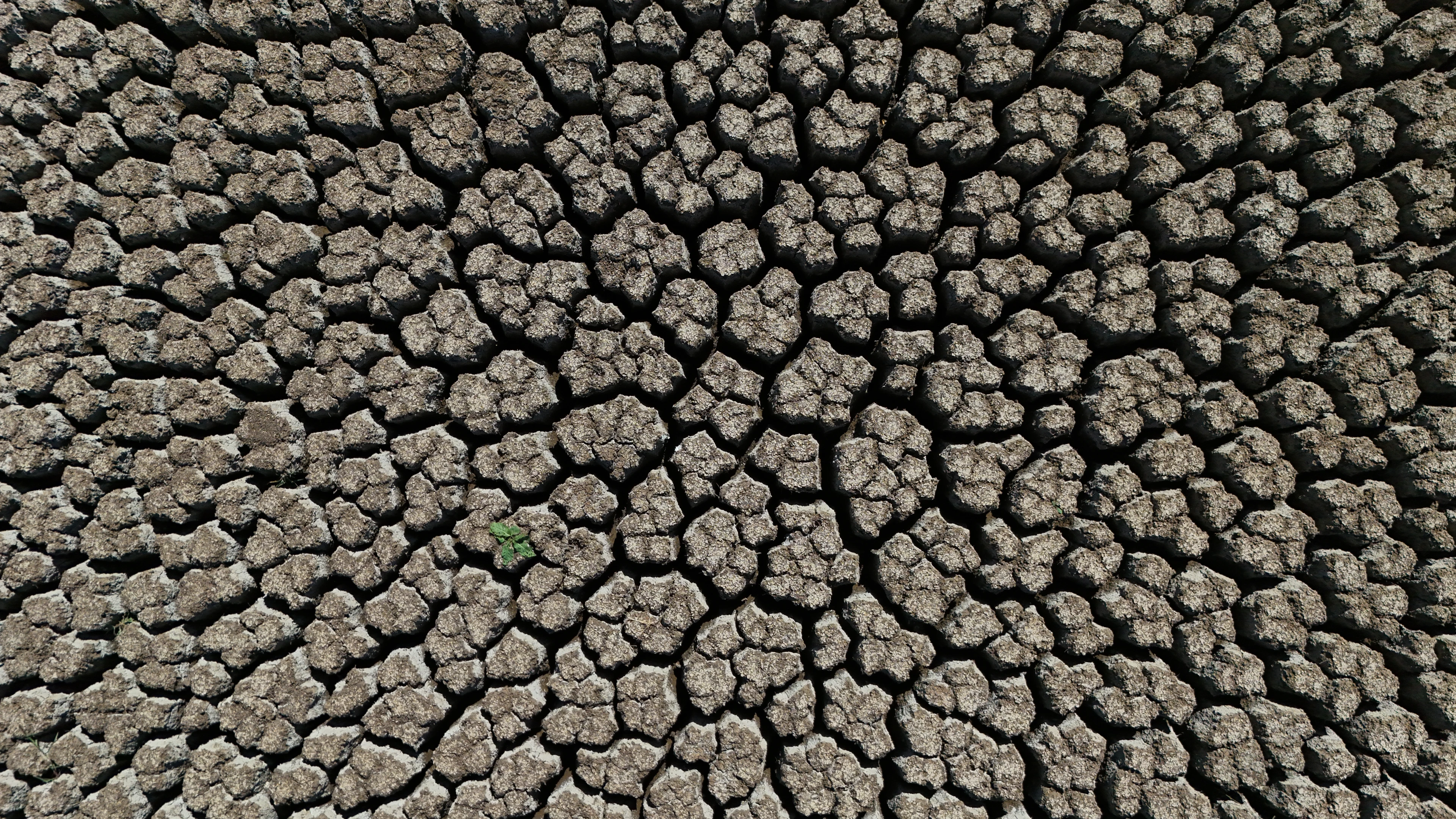 Kuraklık bir göleti daha vurdu! Tamamen kurudu
