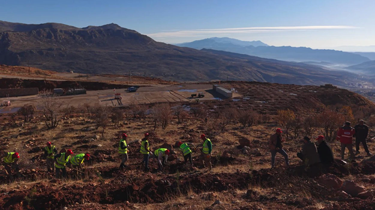 Petrol üretim üssü Gabar’da yeşil hamle başladı: 100 bin fidan toprakla buluşacak
