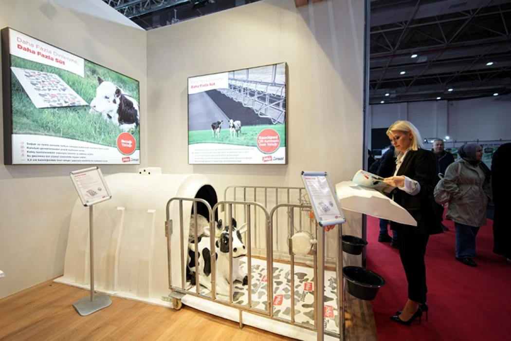 İnekler için ortopedik yatak üretildi