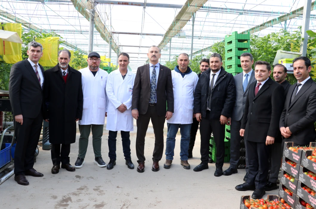 Kar altında domates yetiştiriyorlar