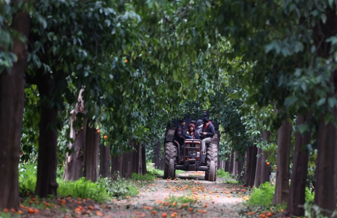 Turunç Yolu görsel şölen sunuyor: Fotoğraf tutkunlarının yeni adresi