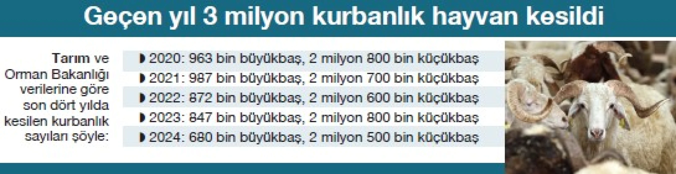 Bayramda denetim artacak kurban sıkıntısı yaşanmayacak