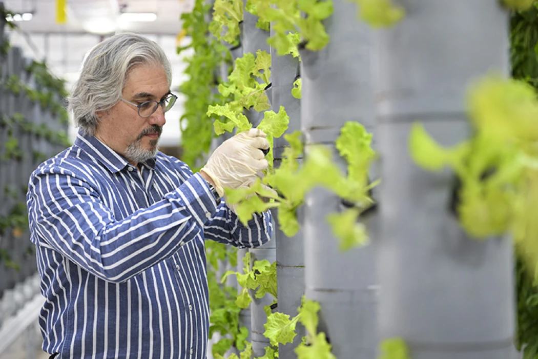 Topraksız dikey tarım uygulamaları enerjide tasarruf ve yüksek verimlilikle geleceğe umut oluyor