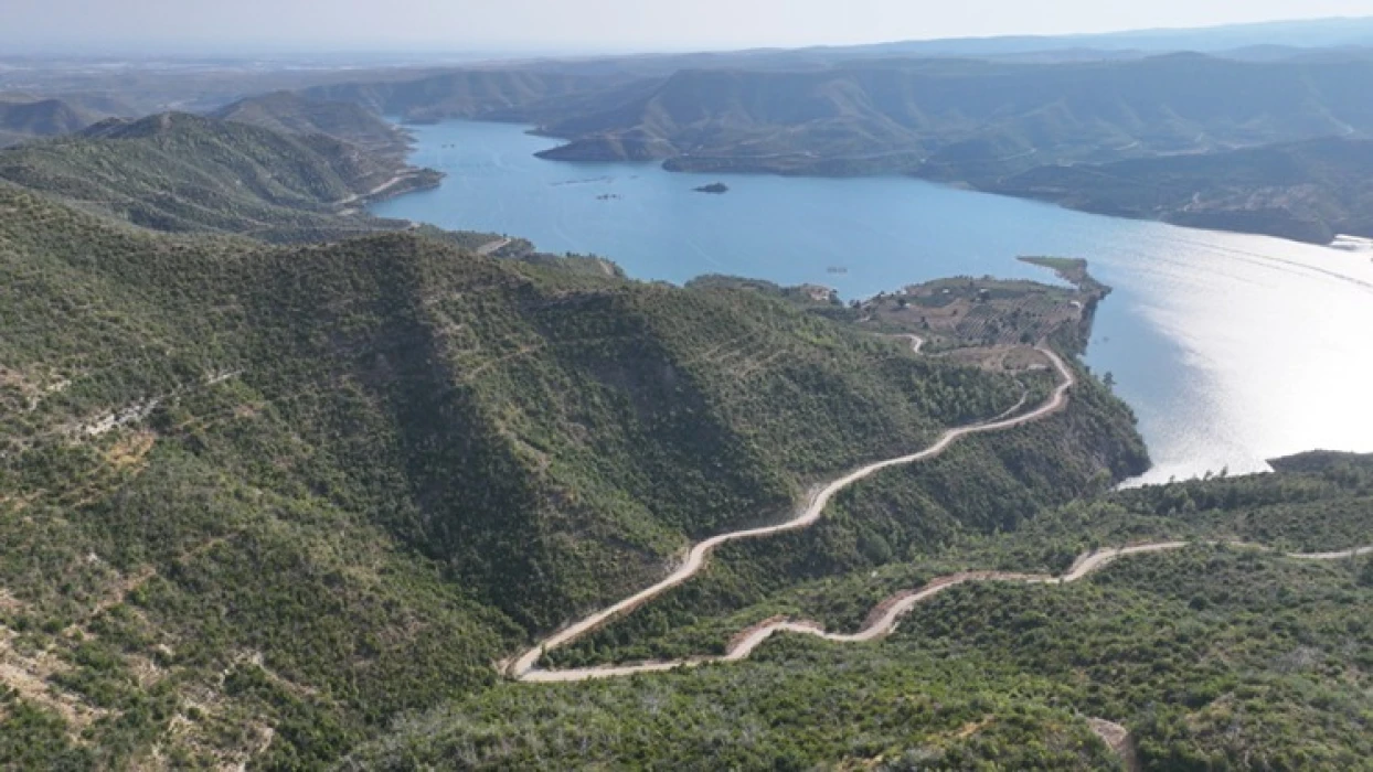 Manavgat’ta yangınla yok olan ormanlar yeniden yeşeriyor