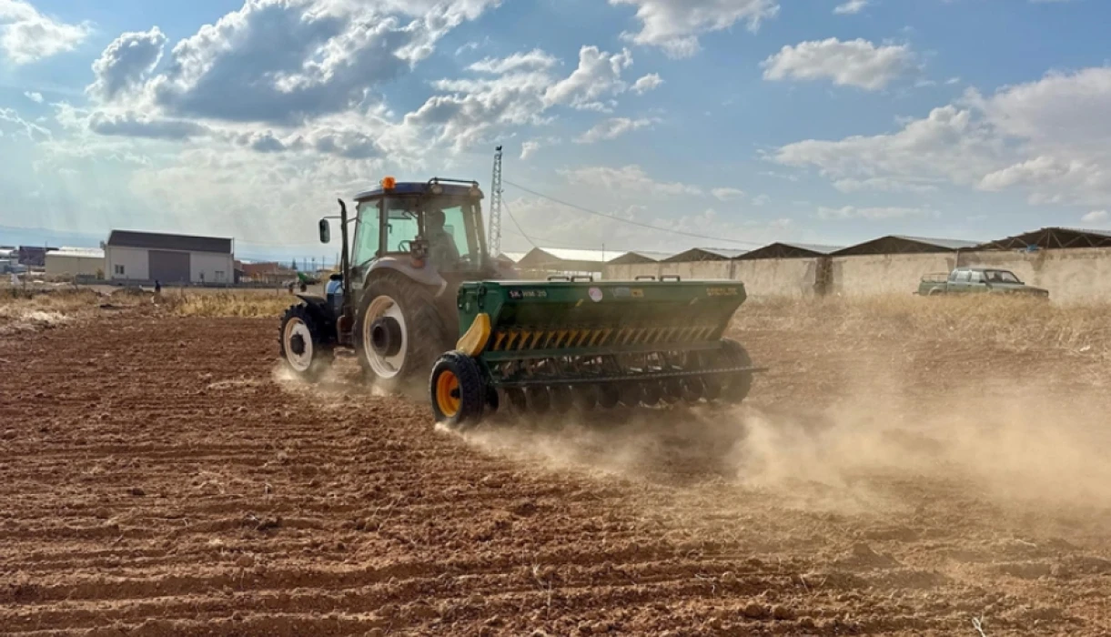 Bozkırda kuraklığa karşı yerli çözüm: 25 çeşit dayanıklı ürün toprakla buluştu