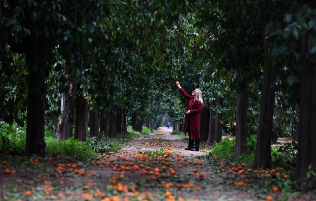 Turunç Yolu görsel şölen sunuyor: Fotoğraf tutkunlarının yeni adresi