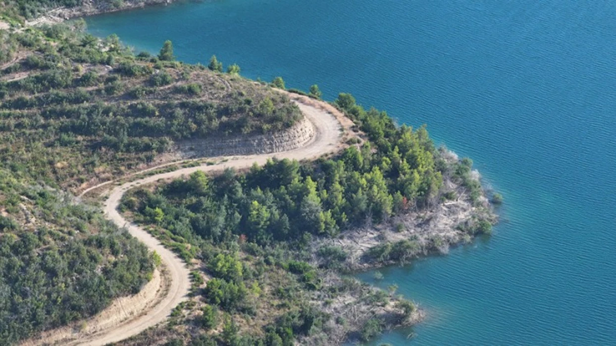 Manavgat’ta yangınla yok olan ormanlar yeniden yeşeriyor