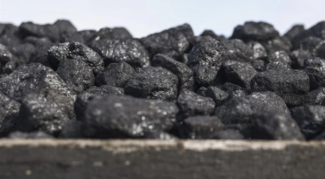 İrlanda son kömür santralini kapattı