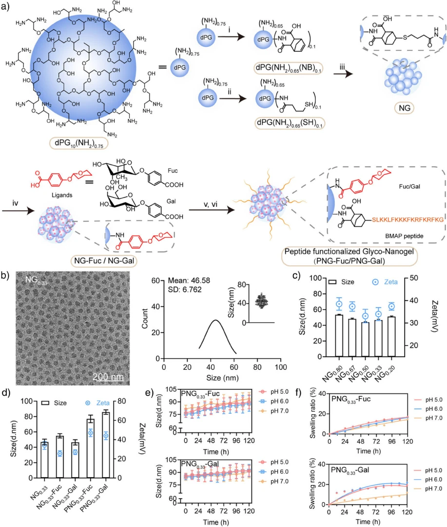 İlaca dirençli bakterileri saatler içinde yok eden nanojel geliştirildi