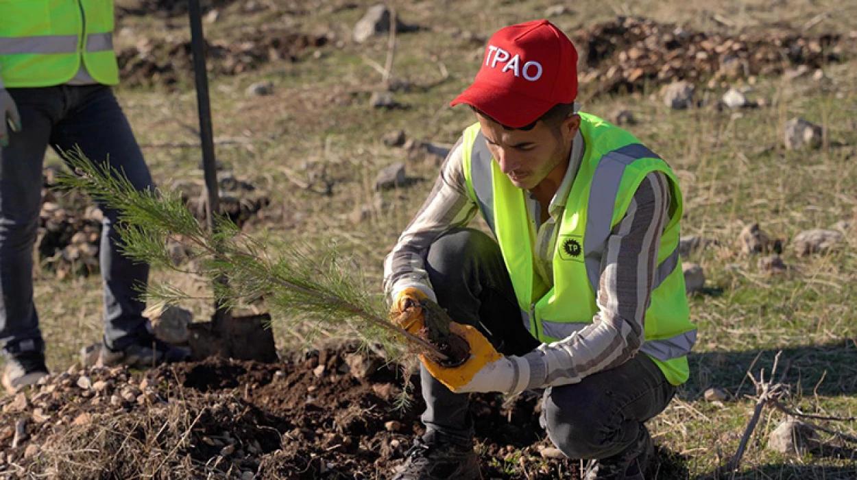 Petrol üretim üssü Gabar’da yeşil hamle başladı: 100 bin fidan toprakla buluşacak