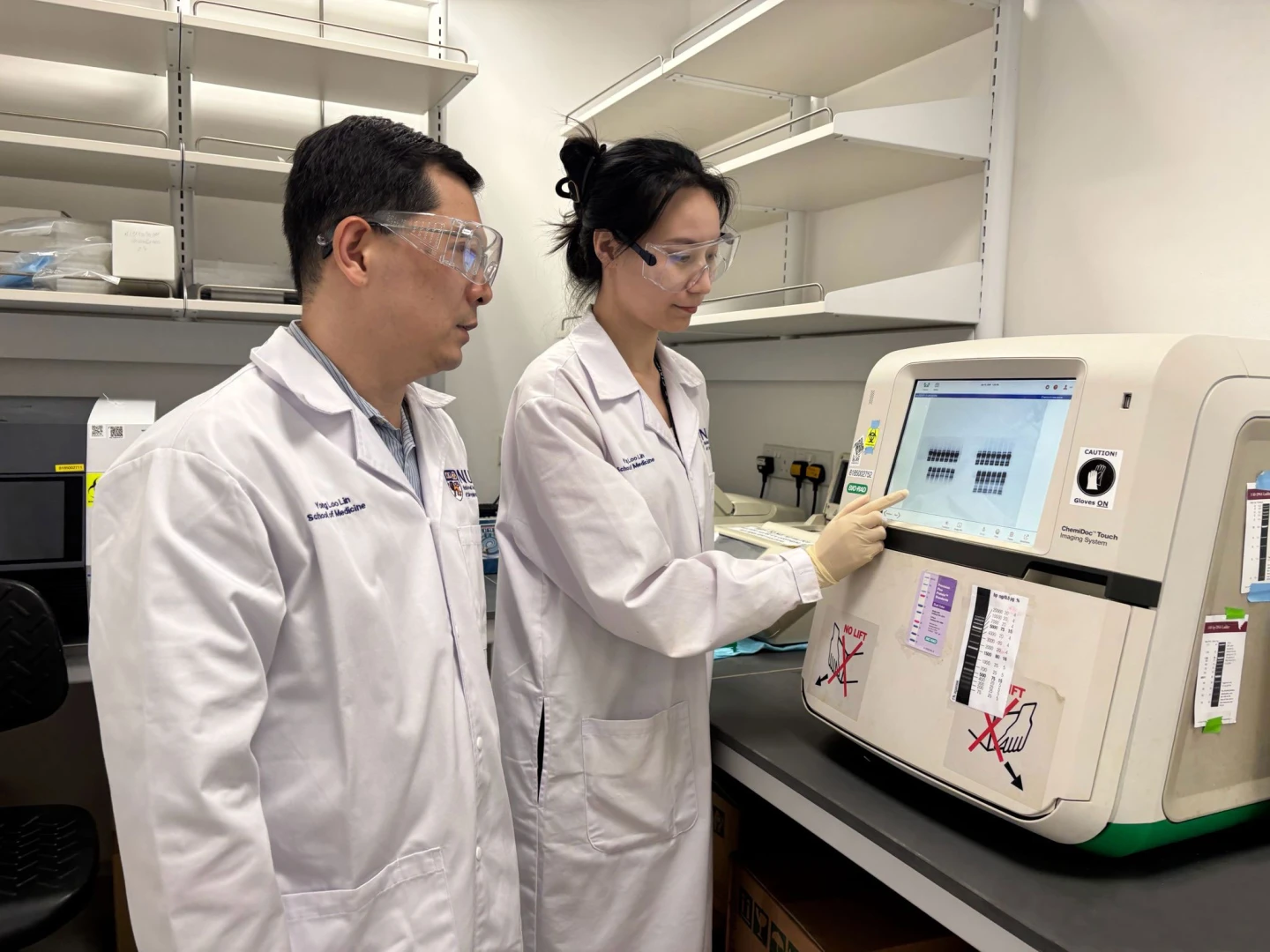 Yaşlanan beyni yenileyen 'Moleküler anahtar' keşfedildi