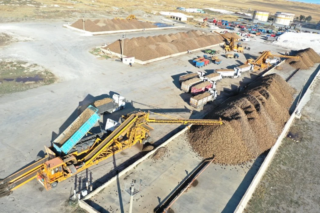 Ağrı'da devlet desteğiyle ekilen tarım ürünlerinde çeşitlilik artıyor