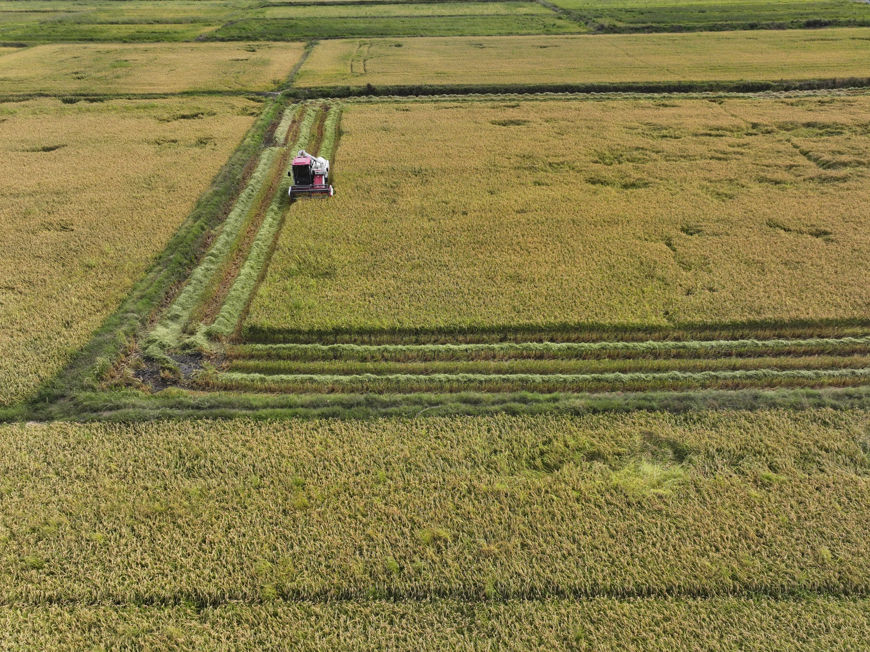 Kırsal kalkınma hamlesi! IPARD III Programı'nın çağrı takvimi yayımlandı