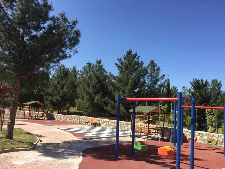 ‘Millet ormanı’ sayısı bu yıl 19'a çıkacak