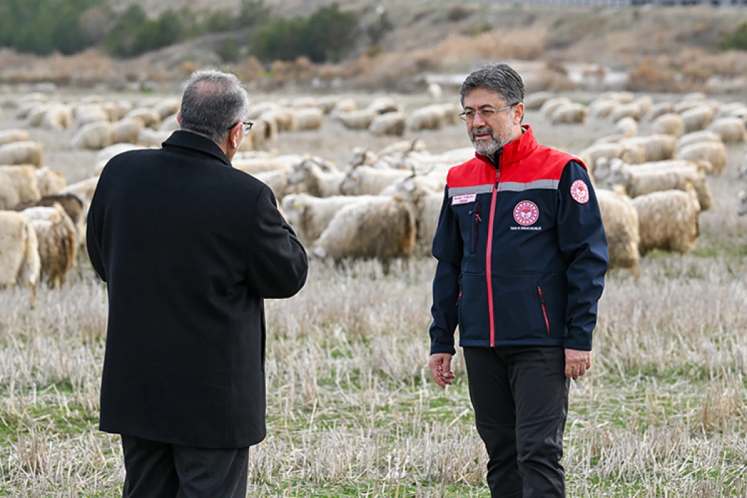 Tiftiğin ekonomiye kazandırılması için destek mekanizmaları geliştirilecek