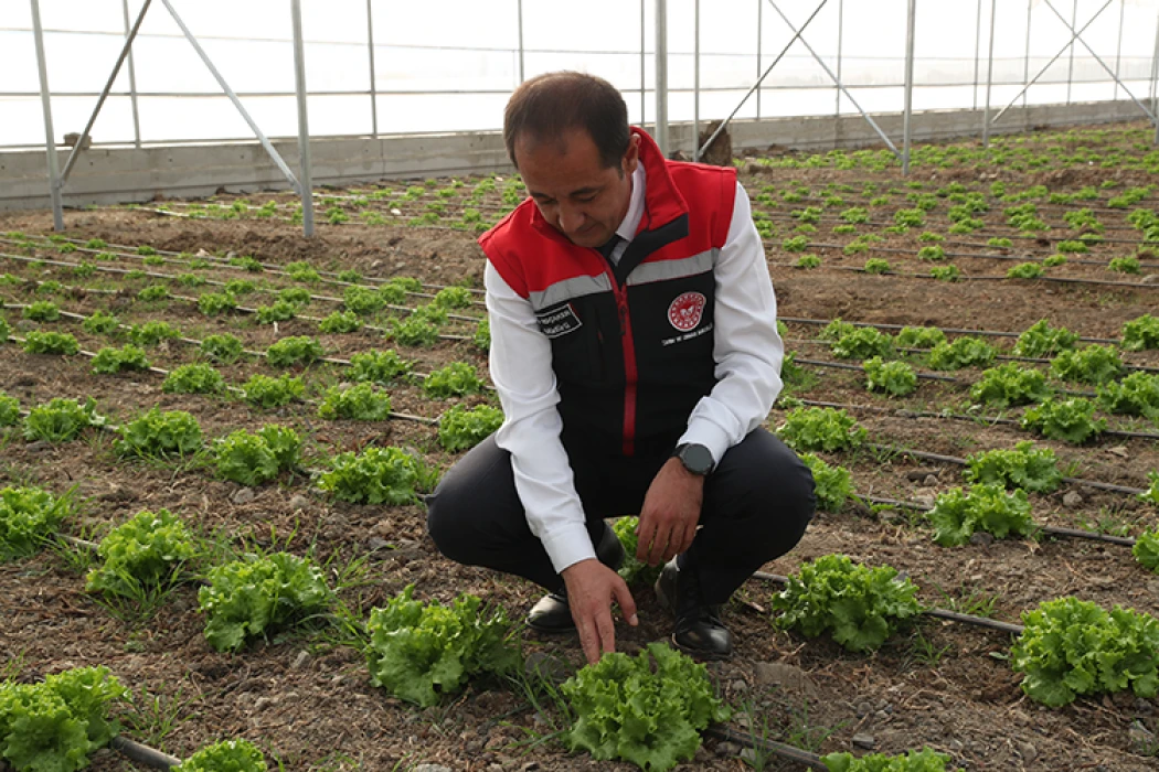 Doğu Anadolu'nun en büyük toplu sera alanı Erzincan'da kurulacak