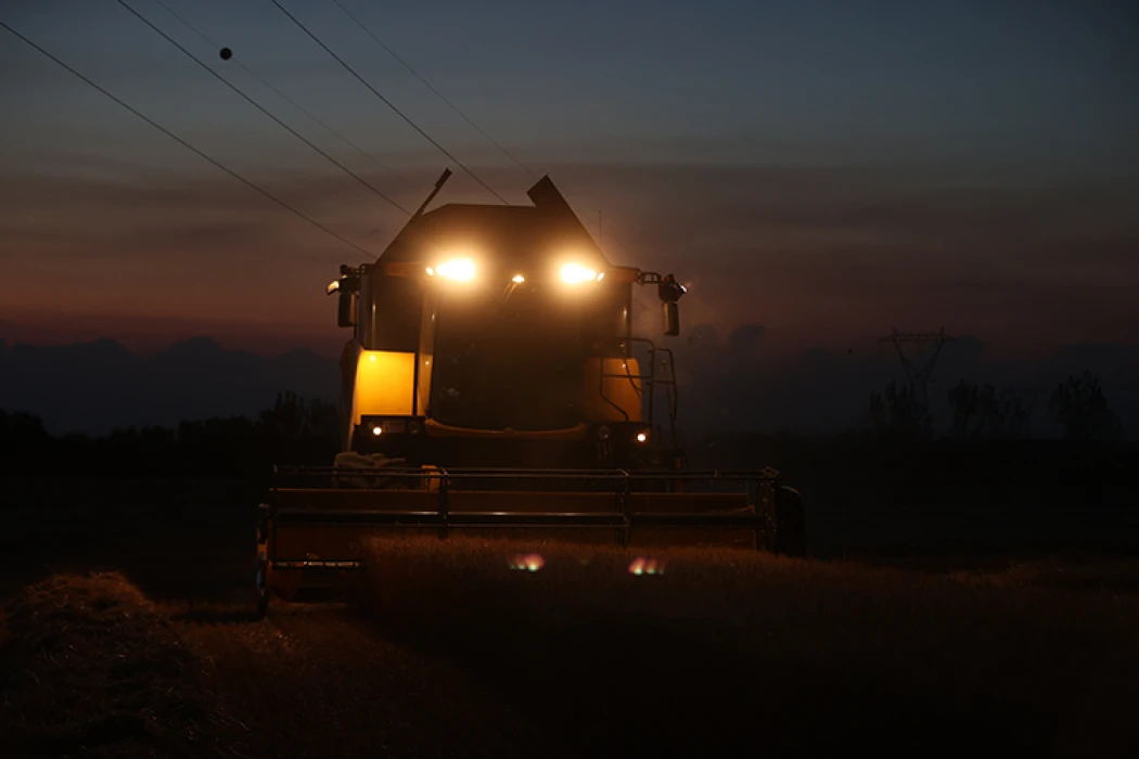Trakya'da aşırı sıcak nedeniyle buğday hasadı gece yapılıyor