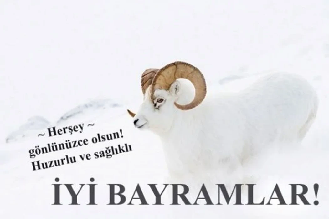 2025 Kurban Bayramı mesajları: En güzel, anlamlı ve resimli yeni seçenekler