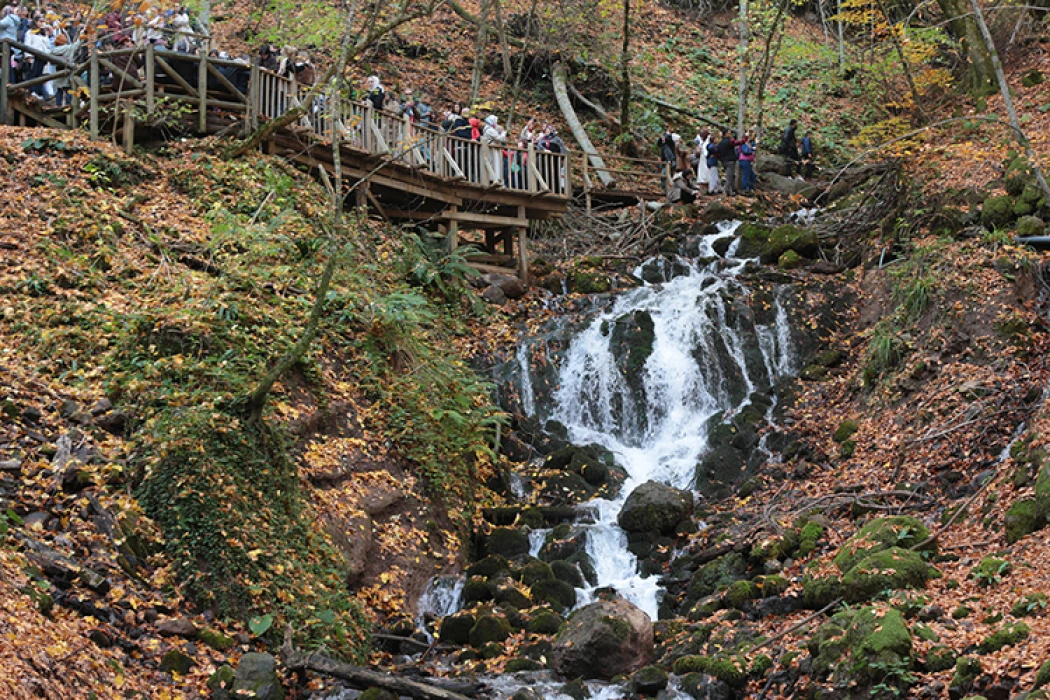 Sonbahar renklerine bürünen 'orman denizi' Yedigöller'de ziyaretçi yoğunluğu