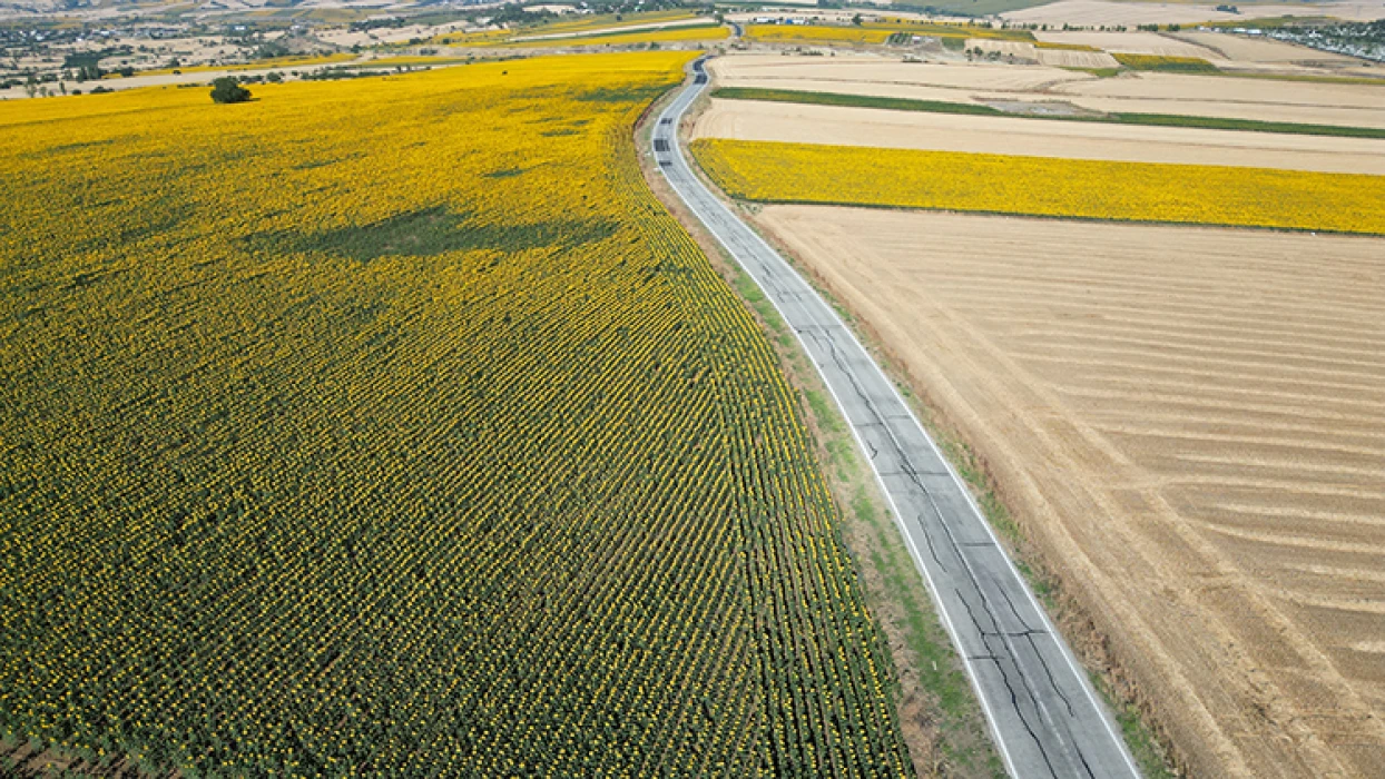 Tekirdağ'da gündöndü tarlaları sürücülerin rotasını renklendirdi